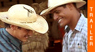 COWBOY FOREVER von JeanBaptiste Erreca im Vertrieb der PROFUN MEDIA