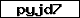 Pr�fcode