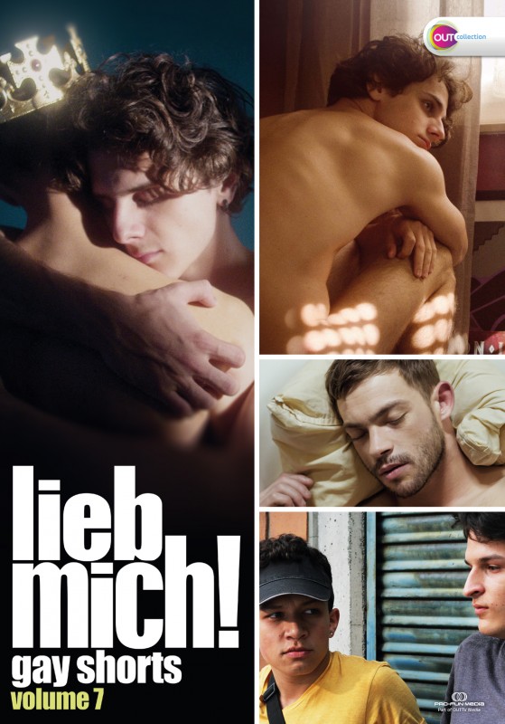 LIEB MICH! - Gay Shorts Volume 7 