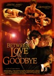 Between Love & Goodbye 